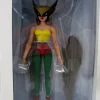 Justice League The Animated Series Hawkgirl Action Figure<DC Online